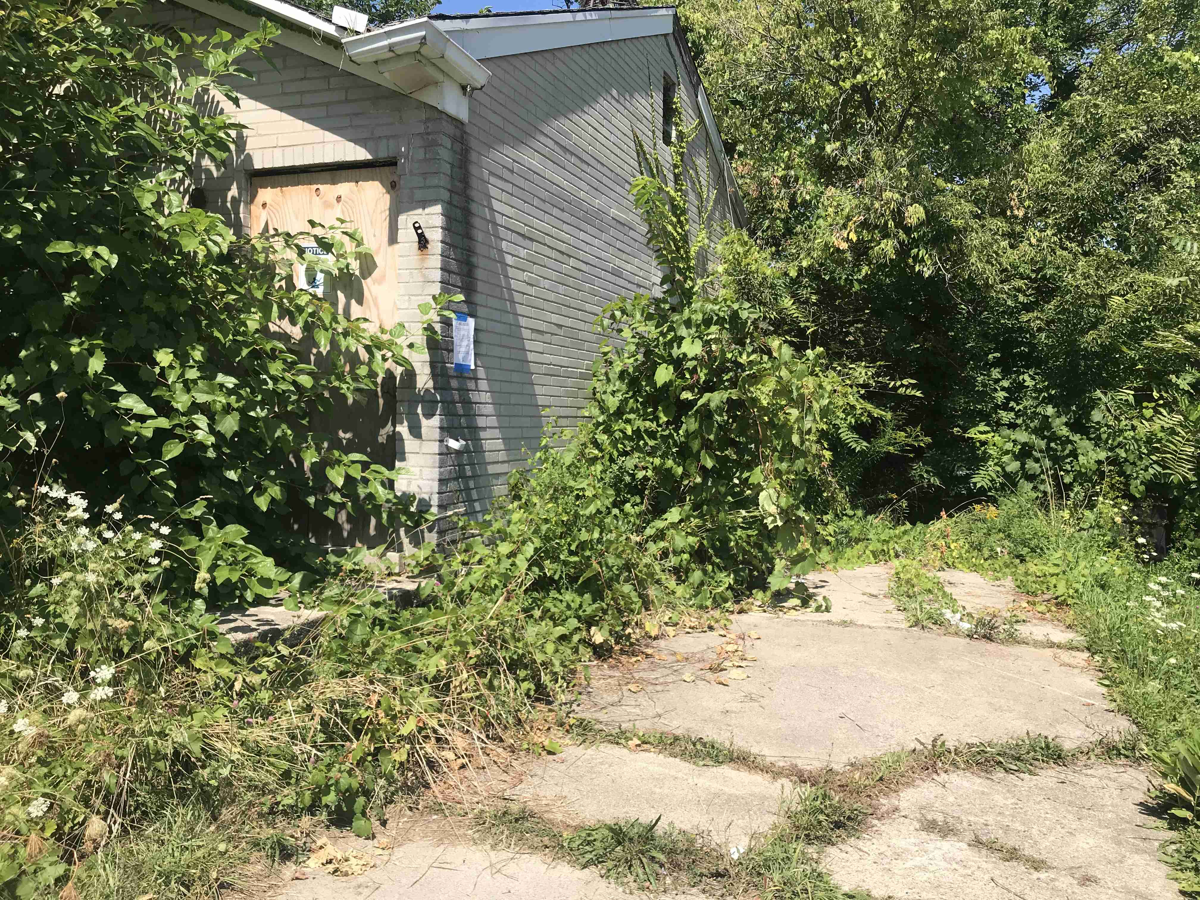 Photo Aug 21, 1 25 25 PM.jpg